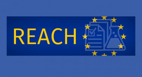 Εφαρμογή Νέων Περιορισμών του Κανονισμού REACH